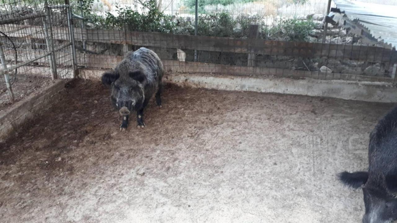 Mediterranean Garden Villa Βαθύ Εξωτερικό φωτογραφία