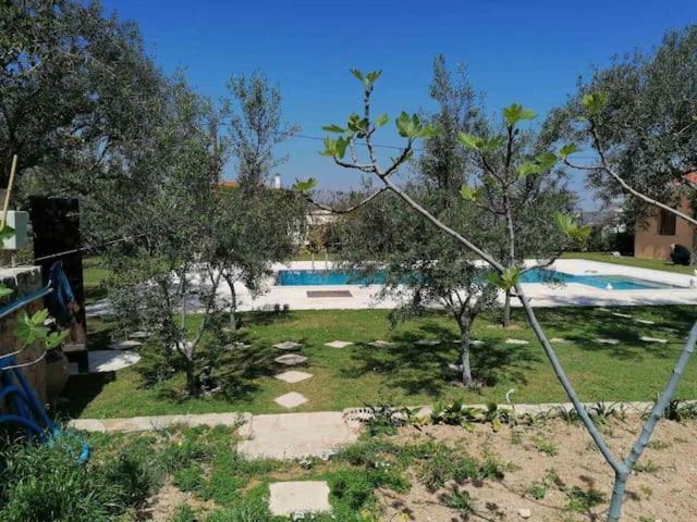 Mediterranean Garden Villa Βαθύ Εξωτερικό φωτογραφία